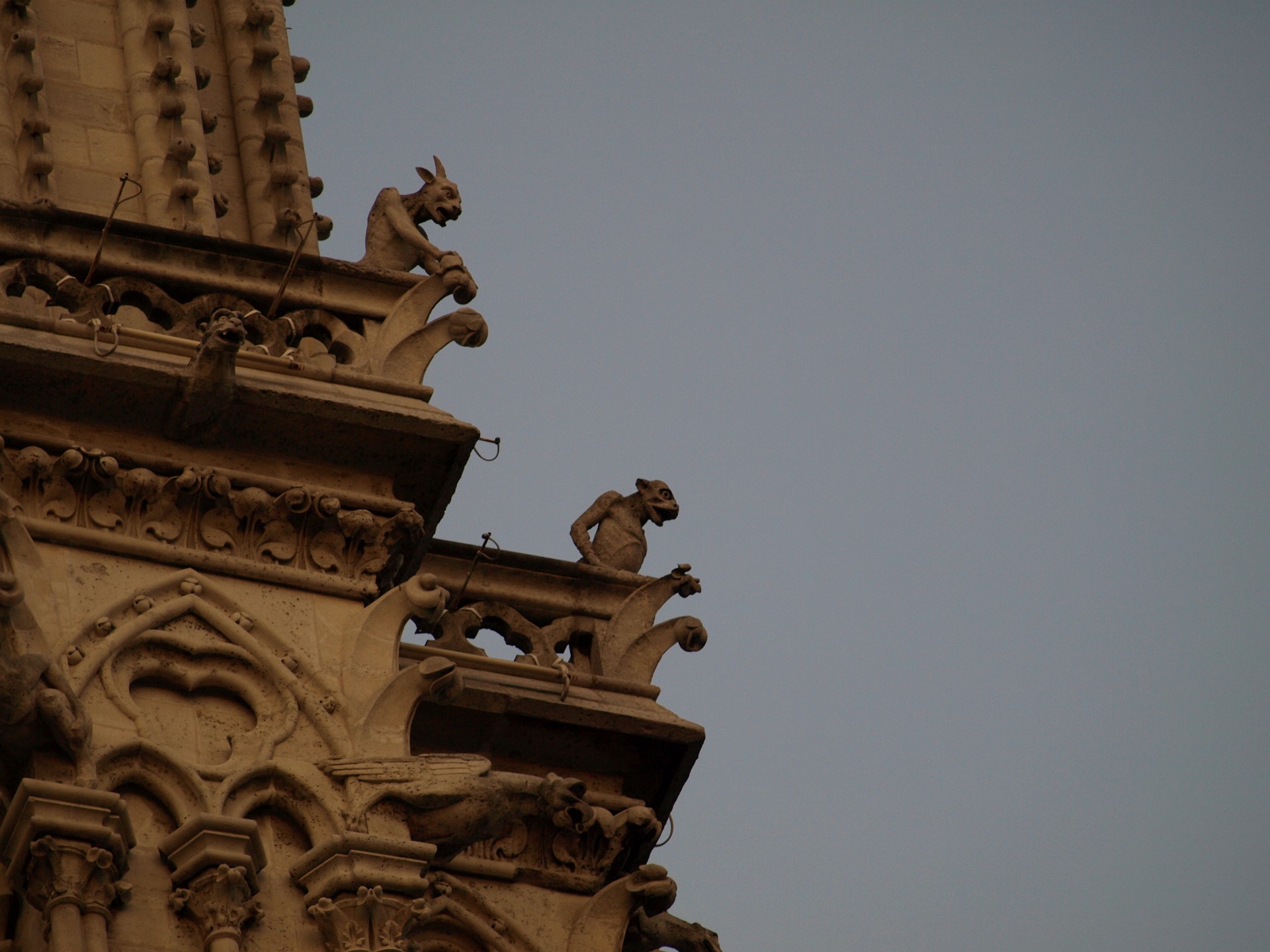 Gargoyles Against the Evening Sky